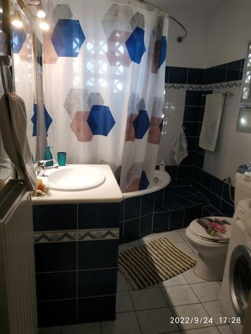 Apartment Mina's Trikala (Thessaly)
